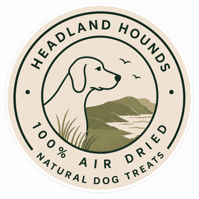 Headland Hounds dogs on the Northumberland coast