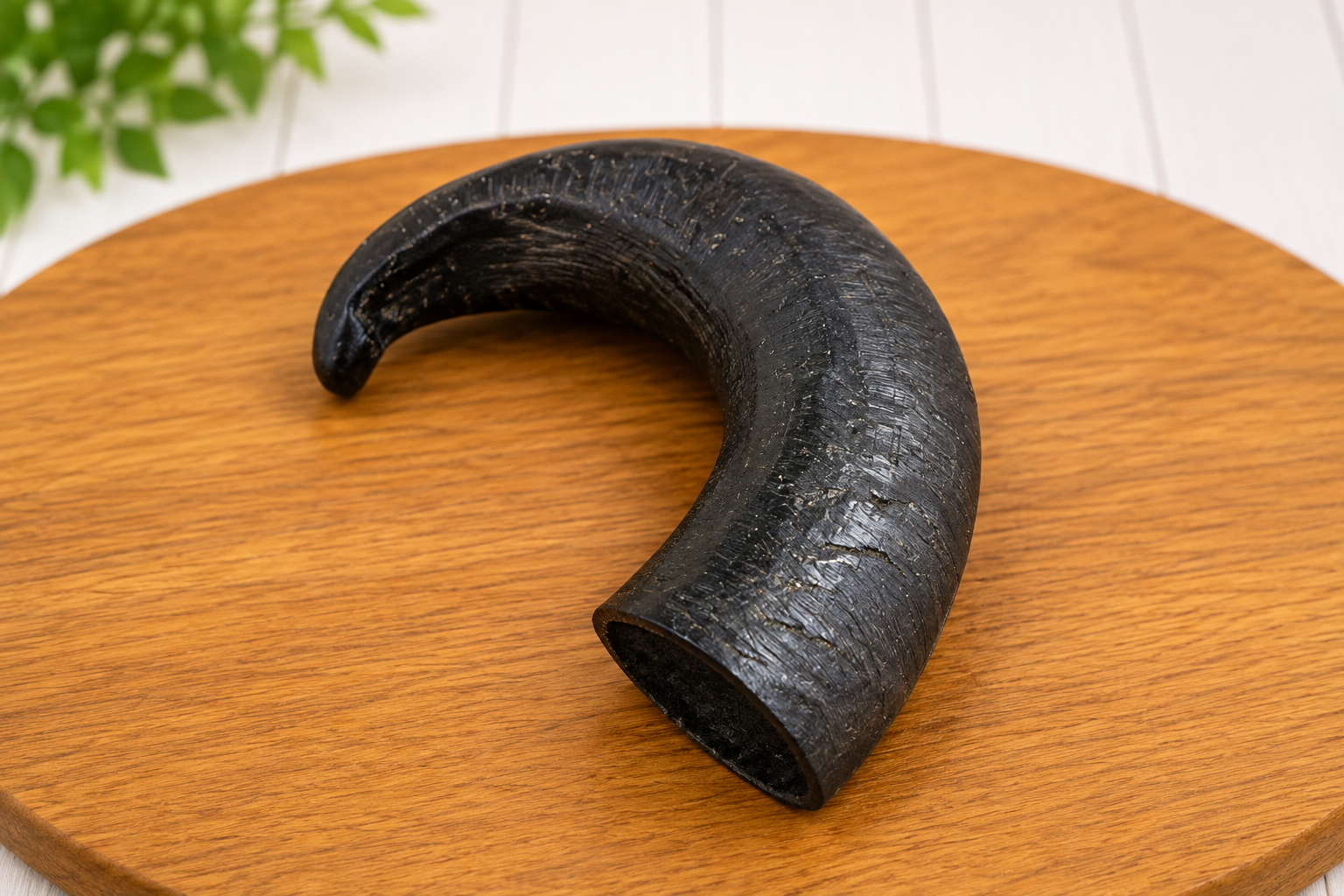 Horns